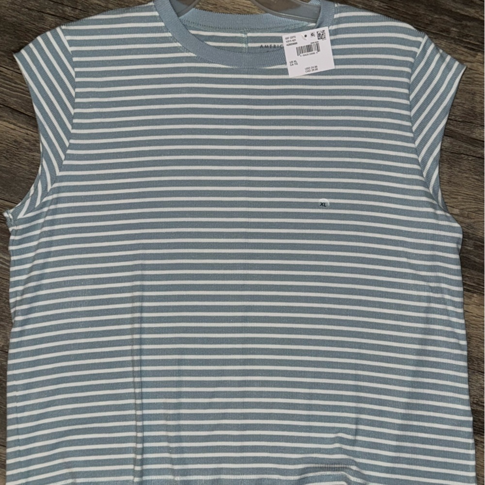 American Eagle Outfitters Blue and White Striped Tee